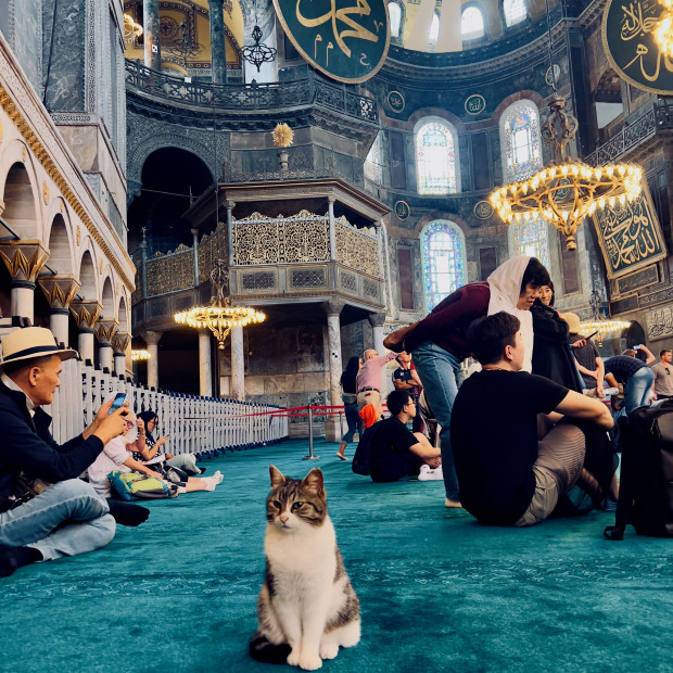 Hagia Sophia / Ayasofya, Istanbul, Turkey