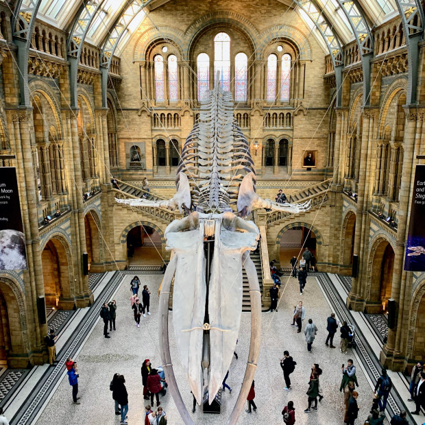 Natural History Museum, London, United Kingdom