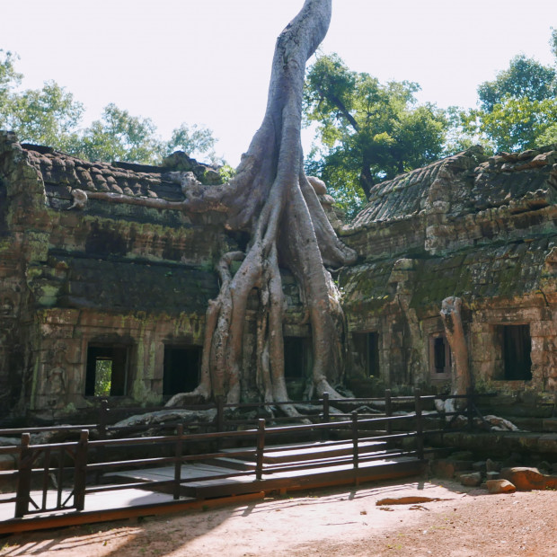 Ta Prohm Temple, Anghor Wat, Siem Reap, Cambodia